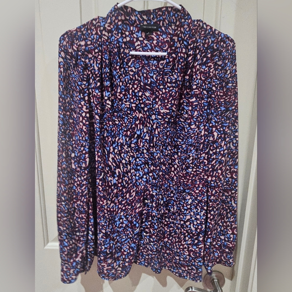 The Limited Multicolor Blouse